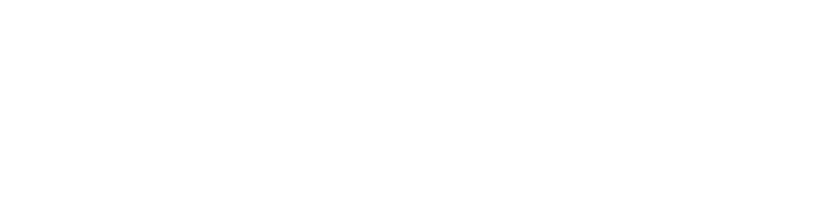 About レジエの技術